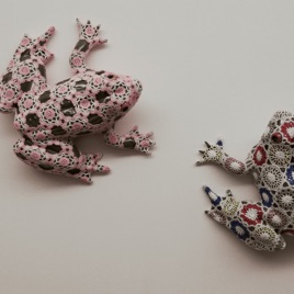 The Two Frogs From Brakdum