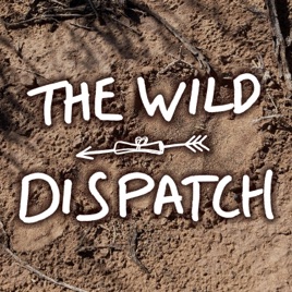 The Wild Dispatch