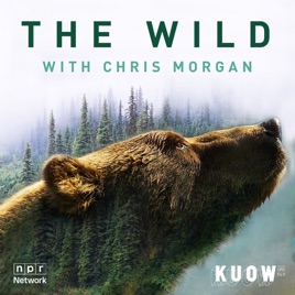 The Wild with Chris Morgan