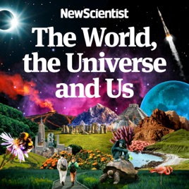 The World, the Universe and Us
