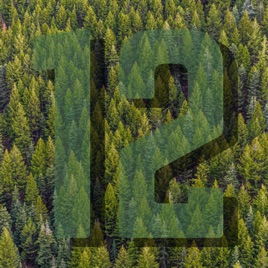 The World's Only Seahawks Podcast