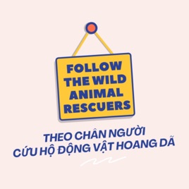 Theo chân người cứu hộ động vật hoang dã