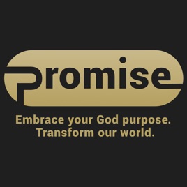 ThePromiseSD