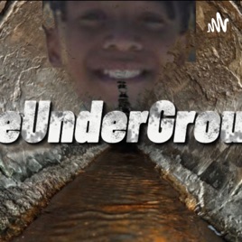 TheUnderGround