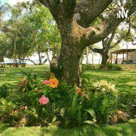 Thiền chánh niệm ( vipassana )