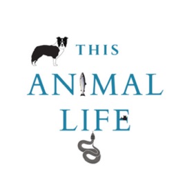 This Animal Life
