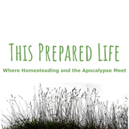 This Prepared Life