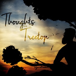 Thoughts from the Treetop
