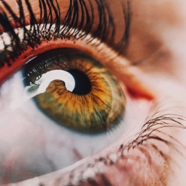 Through the motherโs eye