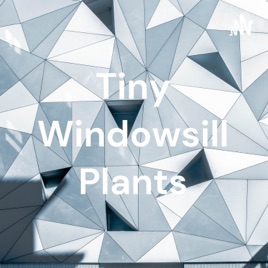 Tiny Windowsill Plants