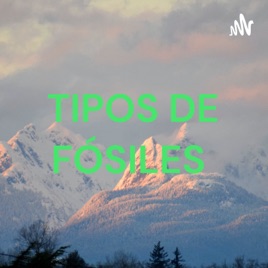 TIPOS DE FÓSILES