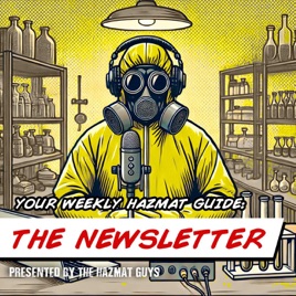 TNLP: The Newsletter Podcast by THMG