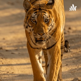 Top 10 Strongest Animals In The World