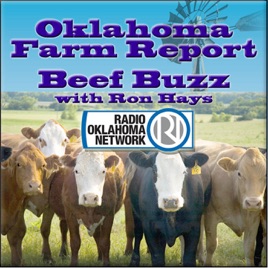 Top Beef Buzz - Oklahoma Farm Report
