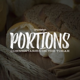 Torah Portions