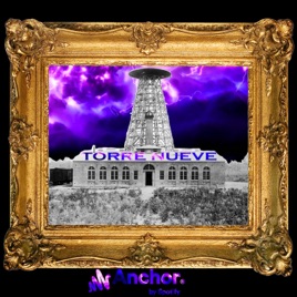 Torre nueve