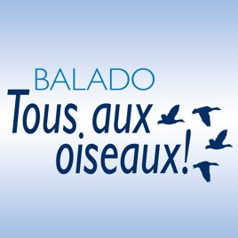 Tous aux oiseaux!