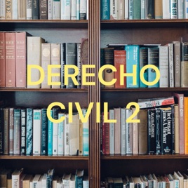 DERECHO CIVIL 2