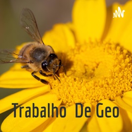 Trabalho De Geo