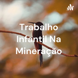 Trabalho Infantil na Mineração - Vamos Começar