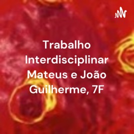 Trabalho Interdisciplinar Mateus e João Guilherme, 7F