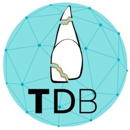 Traumadentalbrazil