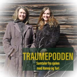 Traumepodden