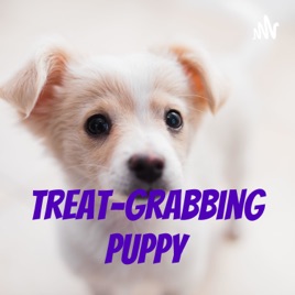 Treat-Grabbing Puppy