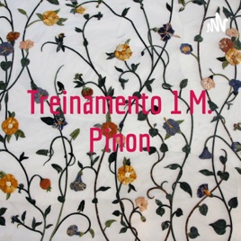 Treinamento 1 M. Pinon