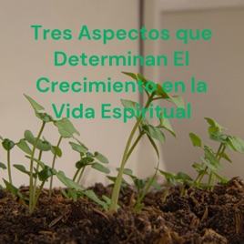 Tres Aspectos que Determinan El Crecimiento en la Vida Espiritual