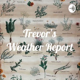 Trevor’s Weather Report