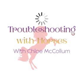 Troubleshooting with Horses