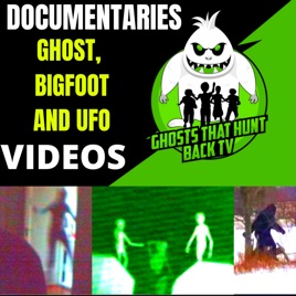 True Ghost Bigfoot and UFO Stories