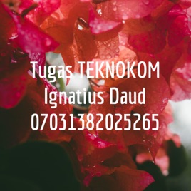 Tugas TEKNOKOM Ignatius Daud 07031382025265