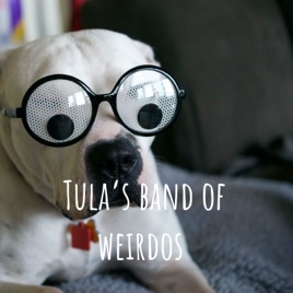Tula’s band of weirdos
