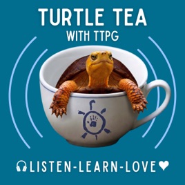 Turtle Tea with TTPG