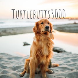 Turtlebutts3000