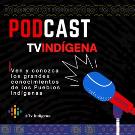 Tv Indígena