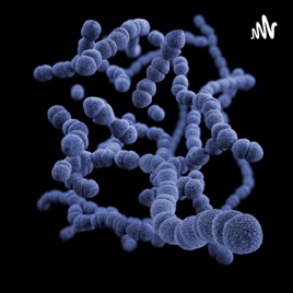 Typhoid Fever