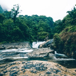 Uchenna