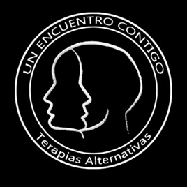 Un encuentro contigo