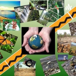 PREVENCION Y EL CUIDADO INTEGRAL DE LA SALUD Y DEL AMBIENTE