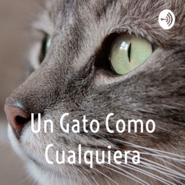 Un Gato Como Cualquiera- Graciela Montes