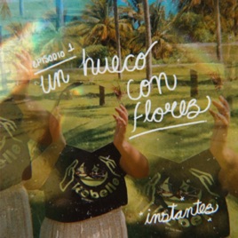 Un hueco con flores