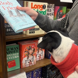 Un perrito que lee.