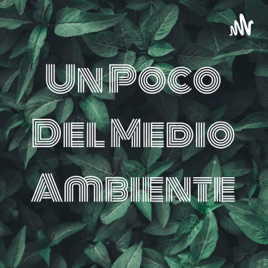 Un Poco Del Medio Ambiente