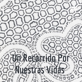 Un Recorrido Por Nuestras Vidas