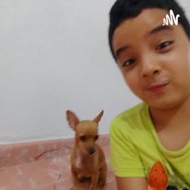 Comedía O Drama