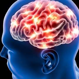 Understanding the Brain