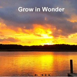 Unitarian Universalist Fellowship of the Peninsula